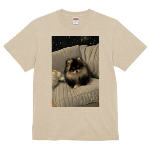 |jA TVc fB[X t@  t  vg JWA 킢 lԗp h ̃fUC ʔ NbV |jA ʂ