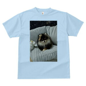 |jA TVc Y LbY t@  t  vg JWA 킢 lԗp h ̃fUC ʔ NbV |jA ʂ