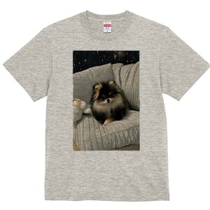 |jA TVc fB[X t@  t  vg JWA 킢 lԗp h ̃fUC ʔ NbV |jA ʂ