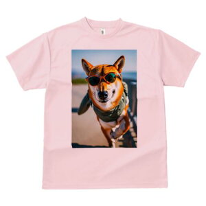 Č TVc fB[X t@  t  vg JWA 킢 lԗp h ̃fUC ʔ TOX Č 