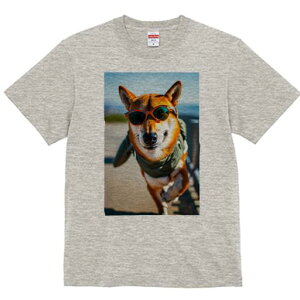 Č TVc fB[X t@  t  vg JWA 킢 lԗp h ̃fUC ʔ TOX Č 