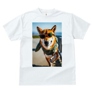 Č TVc fB[X t@  t  vg JWA 킢 lԗp h ̃fUC ʔ TOX Č 