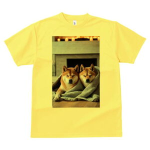 Č TVc fB[X t@  t  vg JWA 킢 lԗp h ̃fUC ʔ gF Č Lh ѕz ؂̏