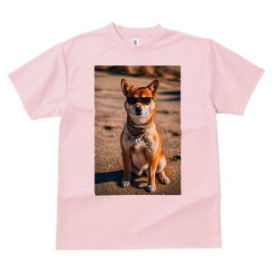 Č TVc fB[X t@  t  vg JWA 킢 lԗp h ̃fUC ʔ TOX Č XJ[t