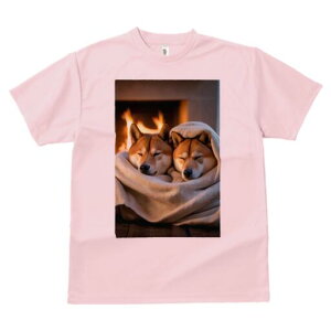 Č TVc fB[X t@  t  vg JWA 킢 lԗp h ̃fUC ʔ gF Č ѕz  