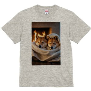 Č TVc fB[X t@  t  vg JWA 킢 lԗp h ̃fUC ʔ gF Č ѕz  