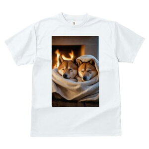 Č TVc fB[X t@  t  vg JWA 킢 lԗp h ̃fUC ʔ gF Č ѕz  