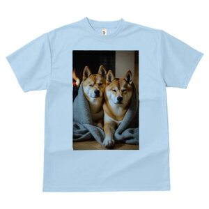 Č TVc fB[X t@  t  vg JWA 킢 lԗp h ̃fUC ʔ ѕz Č gF