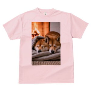 Č TVc fB[X t@  t  vg JWA 킢 lԗp h ̃fUC ʔ gF Č ѕz  