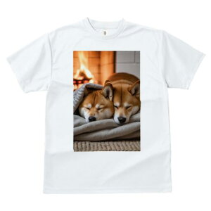 Č TVc fB[X t@  t  vg JWA 킢 lԗp h ̃fUC ʔ gF Č ѕz  