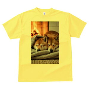 Č TVc fB[X t@  t  vg JWA 킢 lԗp h ̃fUC ʔ gF Č ѕz  