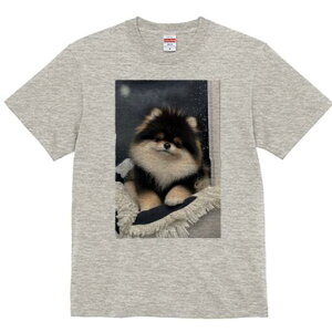 |jA TVc fB[X t@  t  vg JWA 킢 lԗp h ̃fUC ʔ ӂӂ |jA 킢 pxbh uPbg