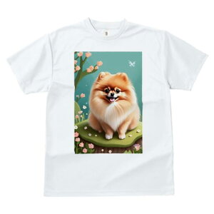 |jA TVc fB[X t@  t  vg JWA 킢 lԗp h ̃fUC ʔ  |jA 