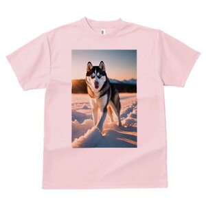 VxAnXL[ TVc fB[X t@  t  vg JWA 킢 lԗp h ̃fUC ʔ  VxAnXL[ ~ R i