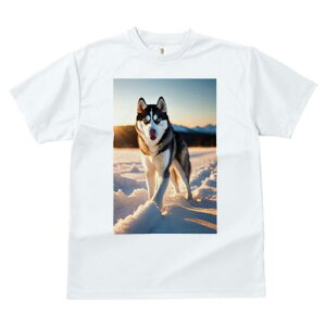 シベリアンハスキー Tシャツ レディース 犬ファン 半袖 春夏 犬柄 プリント カジュアル かわいい 人間用 個性派 ここだけのデザイン 面白 雪 シベリアンハスキー 冬 山 風景