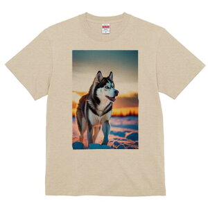 VxAnXL[ TVc fB[X t@  t  vg JWA 킢 lԗp h ̃fUC ʔ  VxAnXL[ [Ă ~ i