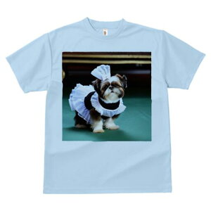 V[Y[ TVc fB[X t@  t  vg JWA 킢 lԗp h ̃fUC ʔ RX`[ V[Y[