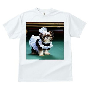 V[Y[ TVc fB[X t@  t  vg JWA 킢 lԗp h ̃fUC ʔ RX`[ V[Y[