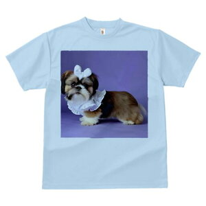 V[Y[ TVc fB[X t@  t  vg JWA 킢 lԗp h ̃fUC ʔ  V[Y[ {