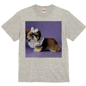 V[Y[ TVc fB[X t@  t  vg JWA 킢 lԗp h ̃fUC ʔ  V[Y[ {