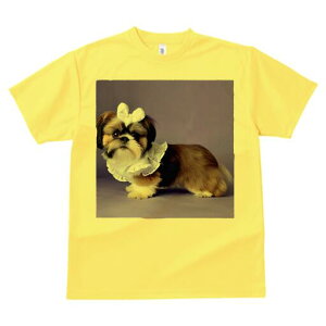 V[Y[ TVc fB[X t@  t  vg JWA 킢 lԗp h ̃fUC ʔ  V[Y[ {