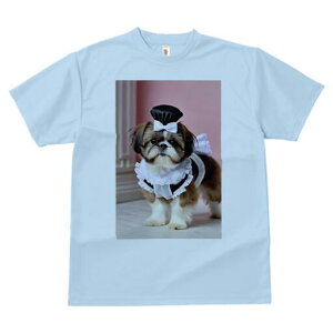 V[Y[ TVc fB[X t@  t  vg JWA 킢 lԗp h ̃fUC ʔ Ch V[Y[ Xq {