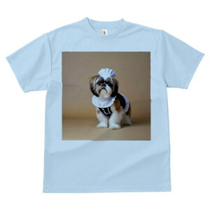 V[Y[ TVc fB[X t@  t  vg JWA 킢 lԗp h ̃fUC ʔ Ch V[Y[ RXv