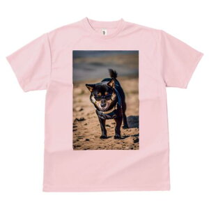 Č TVc fB[X t@  t  vg JWA 킢 lԗp h ̃fUC ʔ TOX Č l n[lX