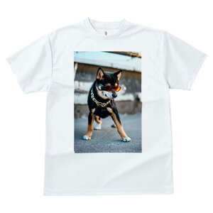 Č TVc fB[X t@  t  vg JWA 킢 lԗp h ̃fUC ʔ TOX Č lbNX