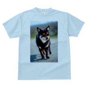 Č TVc fB[X t@  t  vg JWA 킢 lԗp h ̃fUC ʔ TOX Č