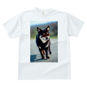 Č TVc fB[X t@  t  vg JWA 킢 lԗp h ̃fUC ʔ TOX Č