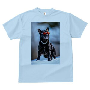 Č TVc fB[X t@  t  vg JWA 킢 lԗp h ̃fUC ʔ TOX Č