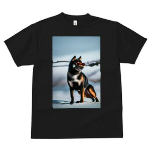 Č TVc fB[X t@  t  vg JWA 킢 lԗp h ̃fUC ʔ TOX Č