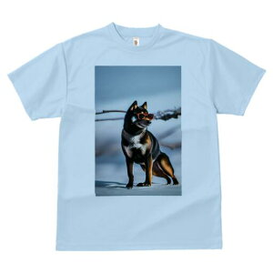 Č TVc fB[X t@  t  vg JWA 킢 lԗp h ̃fUC ʔ TOX Č