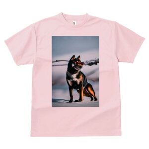 Č TVc fB[X t@  t  vg JWA 킢 lԗp h ̃fUC ʔ TOX Č