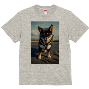 Č TVc fB[X t@  t  vg JWA 킢 lԗp h ̃fUC ʔ TOX Č n[lX