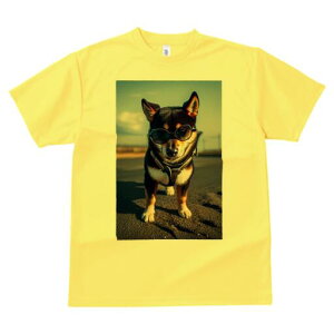 Č TVc fB[X t@  t  vg JWA 킢 lԗp h ̃fUC ʔ TOX Č n[lX