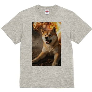 Č TVc fB[X t@  t  vg JWA 킢 lԗp h ̃fUC ʔ  Č ЊQ Ռg I