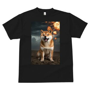 Č TVc fB[X t@  t  vg JWA 킢 lԗp h ̃fUC ʔ  Č 