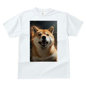 Č TVc fB[X t@  t  vg JWA 킢 lԗp h ̃fUC ʔ Č