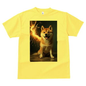 Č TVc fB[X t@  t  vg JWA 킢 lԗp h ̃fUC ʔ ԉ Č