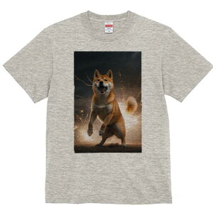 Č TVc fB[X t@  t  vg JWA 킢 lԗp h ̃fUC ʔ  Č  