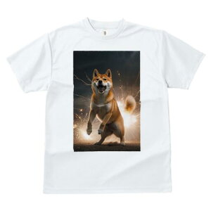 Č TVc fB[X t@  t  vg JWA 킢 lԗp h ̃fUC ʔ  Č  