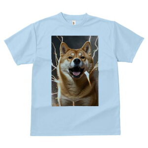 Č TVc fB[X t@  t  vg JWA 킢 lԗp h ̃fUC ʔ  Č