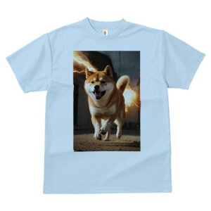 Č TVc fB[X t@  t  vg JWA 킢 lԗp h ̃fUC ʔ  Č 