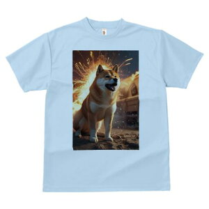 Č TVc fB[X t@  t  vg JWA 킢 lԗp h ̃fUC ʔ  Č Ή