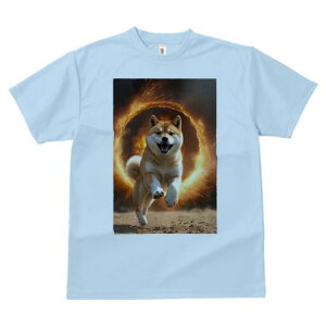 Č TVc fB[X t@  t  vg JWA 킢 lԗp h ̃fUC ʔ  Č Ή