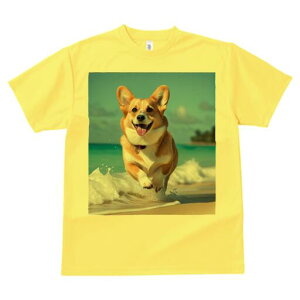 R[M[ TVc fB[X t@  t  vg JWA 킢 lԗp h ̃fUC ʔ C R[M[ r[` g 