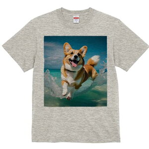 R[M[ TVc fB[X t@  t  vg JWA 킢 lԗp h ̃fUC ʔ C R[M[ g  r[`