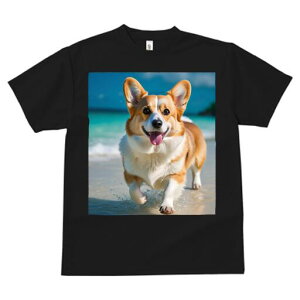 R[M[ TVc fB[X t@  t  vg JWA 킢 lԗp h ̃fUC ʔ r[` R[M[ C  x